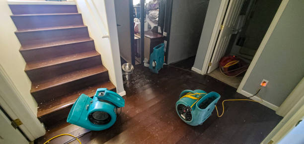 Best Flood damage cleanup  in Princeville, HI