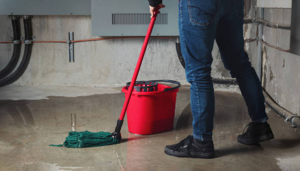 Best Water damage contractors near me  in Princeville, HI