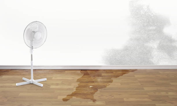 Best Residential water damage restoration  in Princeville, HI