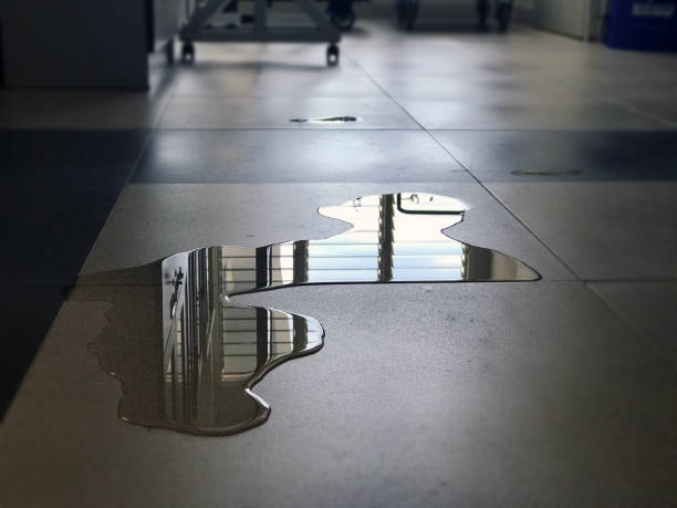 Best Water damage repair service  in Princeville, HI