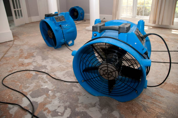 Best Sewage cleanup and water damage restoration  in Princeville, HI