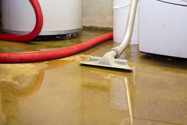 Water damage restoration insurance claims in Princeville, HI