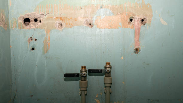 Best Emergency water damage restoration  in Princeville, HI