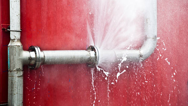 Best Water damage contractors near me  in Princeville, HI